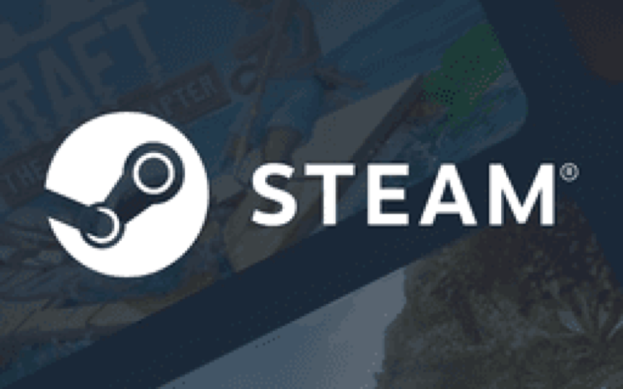 Steam Wallet Items